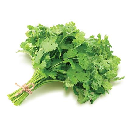 GREEN-CORIANDER