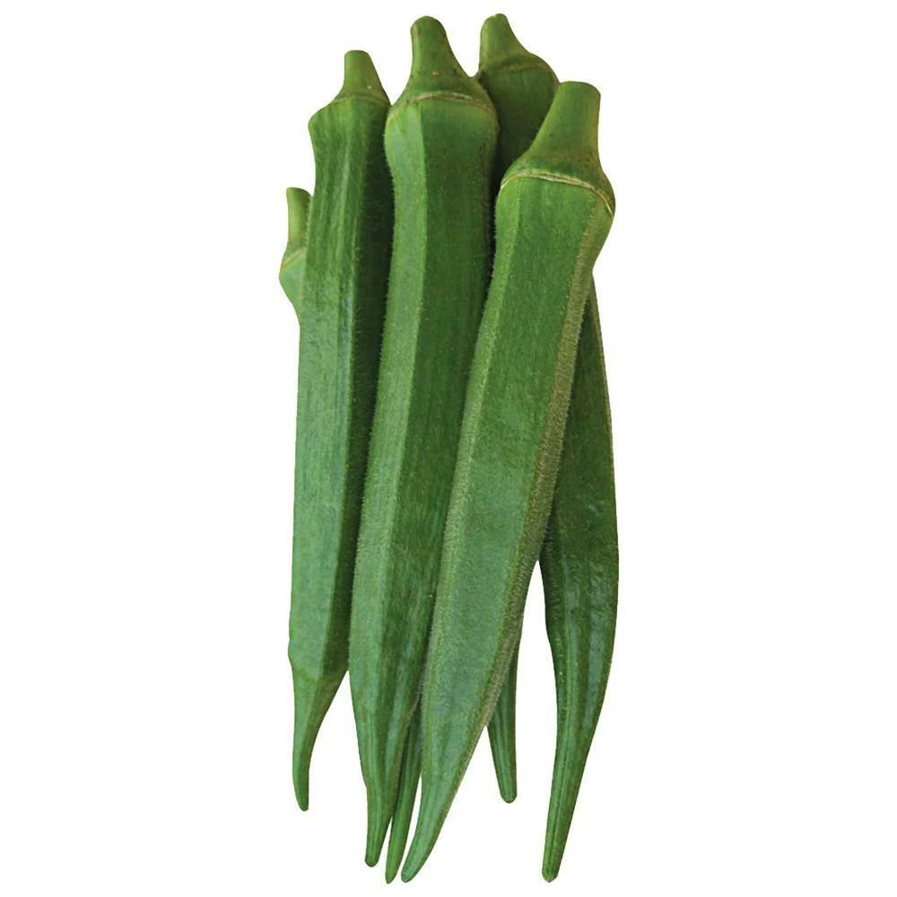 bhendi-okra